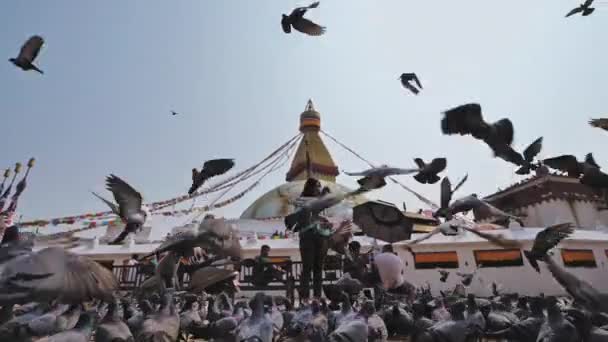 Kathmandu, Nepal - Circa, 2019: Meisjes voeren duiven op plein bij Boudhanath stupa — Stockvideo