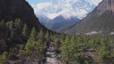Annapurna 'nın altındaki orman yolu. Kar yüzü, Budist Mani duvarına çıkıyor.