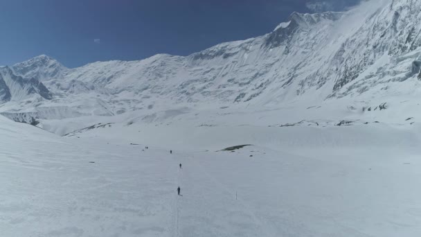 Viajantes trekking, neve brancura vale montanhoso, Grande Barreira, Tilicho Peak — Vídeo de Stock