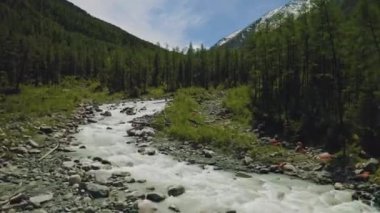 Sütlü nehrin vahşi sularının üzerinde uç, kozalaklı ormanlarda akarsu taştan yataklarda akar.