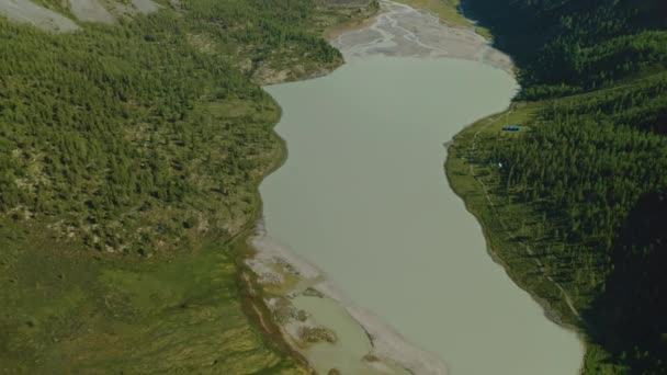 Vola sopra l'acqua torbida lattiginosa del lago ghiacciato di Akkem arrotondato con foresta di conifere — Video Stock