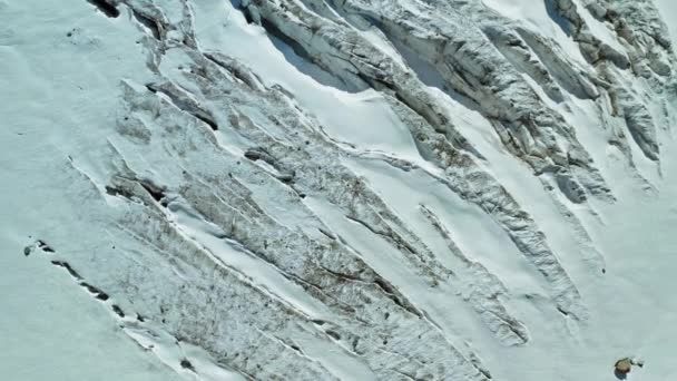 Fabuloso vuelo por encima del glaciar brillante, relieve nevado, surcos y grietas — Vídeo de stock