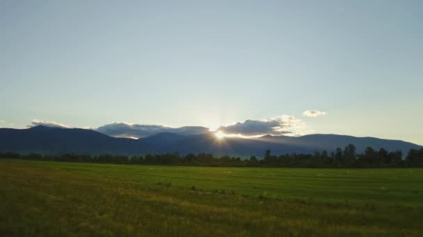 Panorama maravilhoso, vale prados dourados, nascer do sol acima de montanhas nebulosas azuis — Vídeo de Stock
