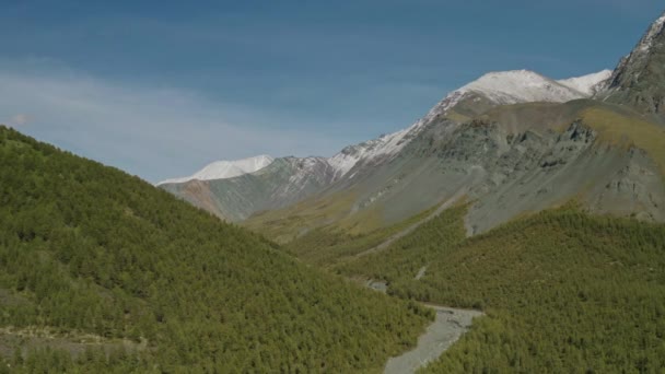 Panorama de laderas, laderas soleadas con denso bosque de coníferas, rocas nevadas — Vídeo de stock