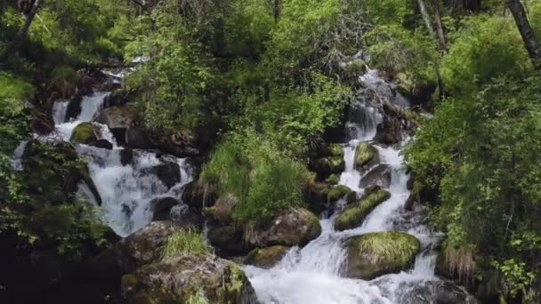 Encantadora cascada forestal, los flujos de agua en la densidad, murmullo sobre las rocas musgosas — Vídeo de stock