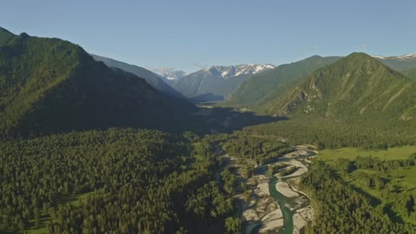 Живописная панорама, горные потоки сливаются с большим речным потоком в густом лесу — стоковое видео