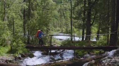 Altai, Rusya-Circa, 2019: Turist yeşil ormandaki ahşap köprüden geçiyor