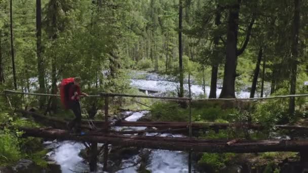 ALTAI, RUSSIA-CIRCA, 2019: Турист пересекает лесной ручей, перемещается по упавшему деревянному мосту — стоковое видео