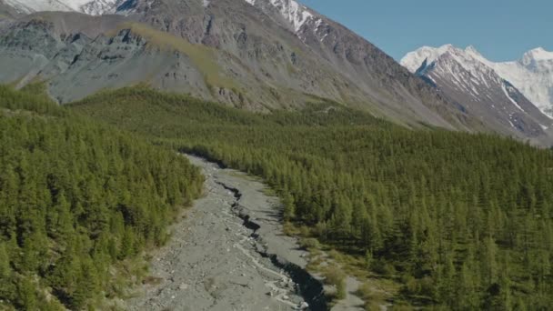 Ледниковый ручей течет по руслу реки в зеленом лесу у подножия снежной горы — стоковое видео
