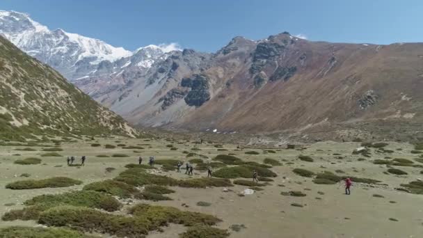 Треккинговая экспедиция движется по скалистой зеленой долине против панорамы снежных гор — стоковое видео