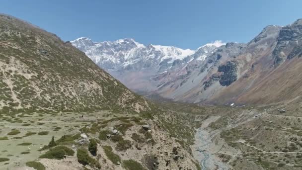 Manzaralı güneşli manzara, kayalık nehir, mavi gökyüzünde karlı dağ zirvelerine karşı vadi. — Stok video