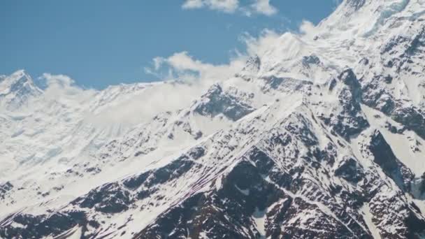 Two birds silhouettes flying high in clouds in blue sky above snow mountain peak — Stock Video