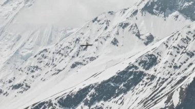 Himalaya akbabası kar dağlarının üzerinde süzülür, kuş mavi gökyüzündeki bulutlarda uçar.