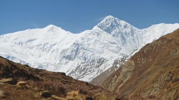 Annapurna 'nın muazzam kar zirvesi açık mavi gökyüzüne hakim oldu. — Stok video