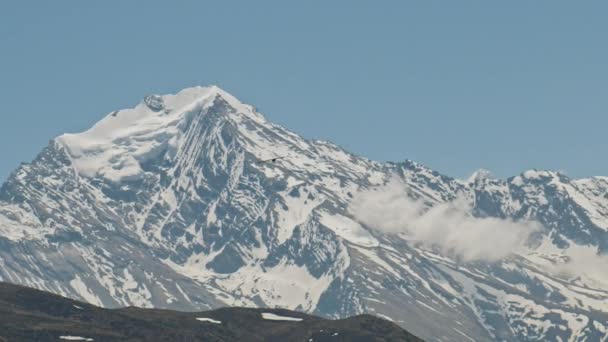 Gran pájaro libre volando en las tierras altas contra la alta montaña de nieve pico en el cielo azul — Vídeos de Stock