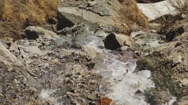 Dağ deresinin köpüklü suyu ıslak taşların üzerinden akar, gün ışığında ışıldar. — Stok video