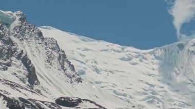 Himalaya akbabaları karlı buzulların üzerinde uçar. Kuşlar dağların üzerinden iner.