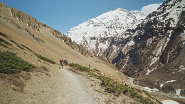 Viajantes caminhando em terras altas ensolaradas em montanhas nevadas acima do desfiladeiro profundo do rio — Vídeo de Stock