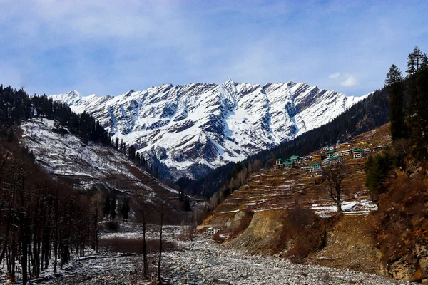 后面是雪山 前面是松树覆盖的山 — 图库照片