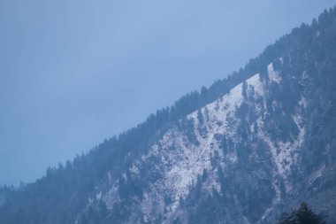 Kış mevsiminde kar ve çam ağaçlarıyla kaplı dağ.