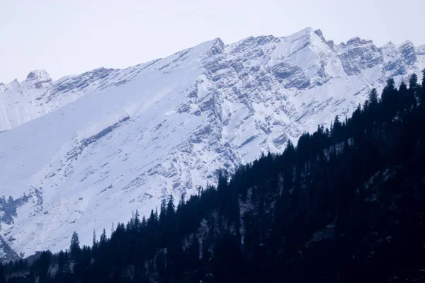 Besneeuwde Berg Achtergrond Met Berg Bedekt Met Dennenbomen Aan Voorkant — Stockfoto