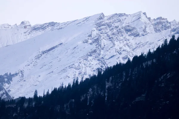 Besneeuwde Berg Achtergrond Met Berg Bedekt Met Dennenbomen Aan Voorkant — Stockfoto