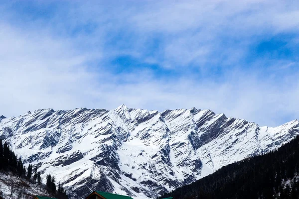 Besneeuwde Berg Achtergrond Met Berg Bedekt Met Dennenbomen Aan Voorkant — Stockfoto