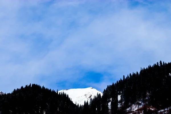 Besneeuwde Berg Achtergrond Met Berg Bedekt Met Dennenbomen Aan Voorkant — Stockfoto