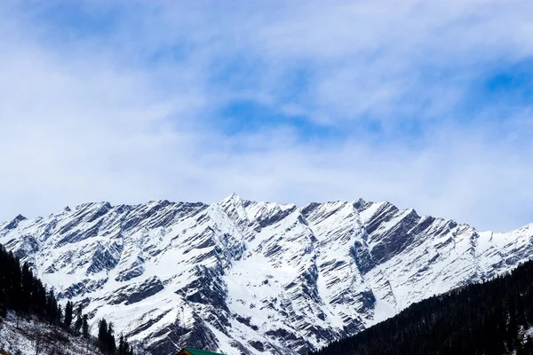 Besneeuwde Berg Achtergrond Met Berg Bedekt Met Dennenbomen Aan Voorkant — Stockfoto