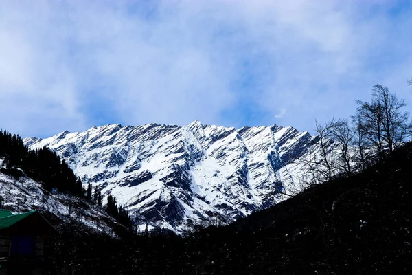 Besneeuwde Berg Achtergrond Met Berg Bedekt Met Dennenbomen Aan Voorkant — Stockfoto
