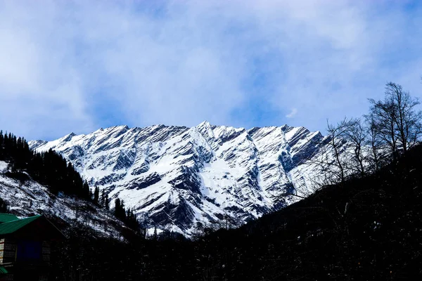 Besneeuwde Berg Achtergrond Met Berg Bedekt Met Dennenbomen Aan Voorkant — Stockfoto