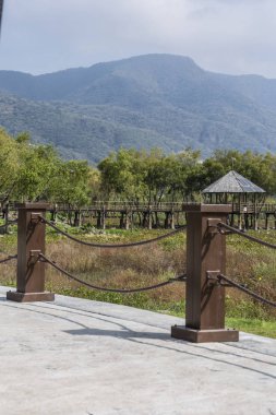 Bir gölün kıyısında dock