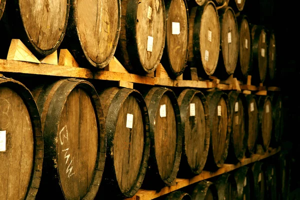 Wine barrels stacked — Stock Photo, Image