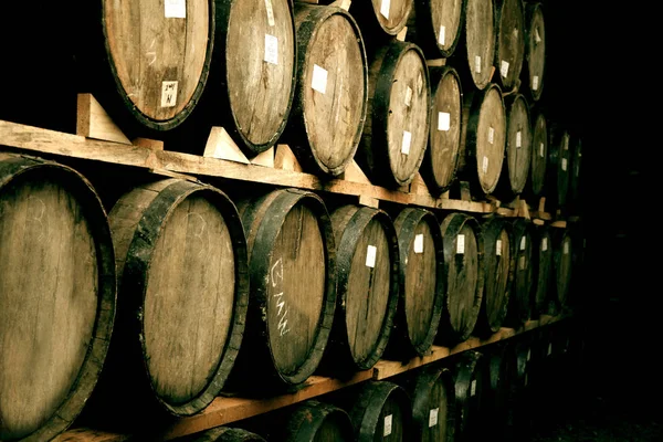 Barris de vinho empilhados — Fotografia de Stock