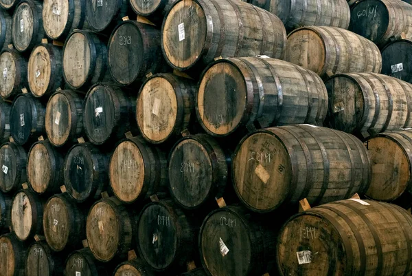 Wine barrels  stacked — Stock Photo, Image
