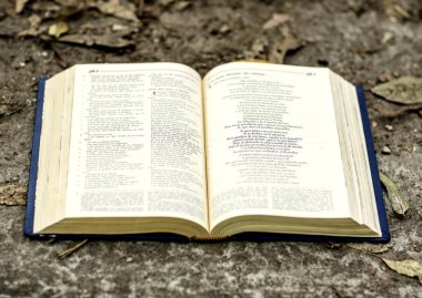 Kutsal İncil'in kitap