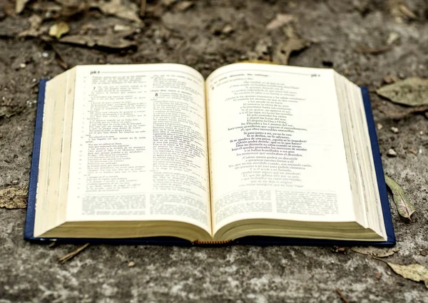 Księgi Pisma Świętego — Zdjęcie stockowe