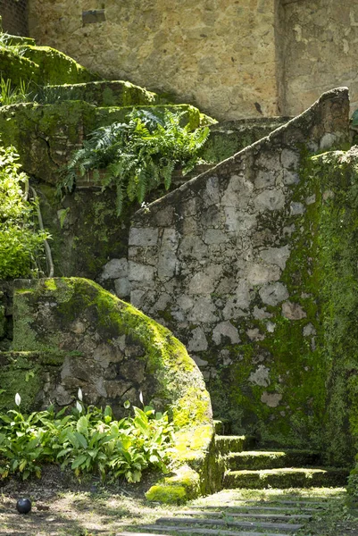 Old place decorated in green areas — Stock Photo, Image