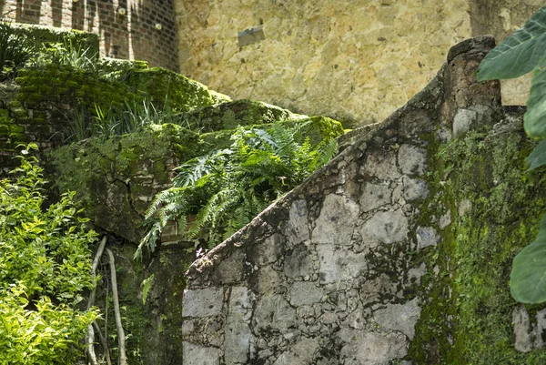 eski yer yeşil alanlarda dekore edilmiştir.