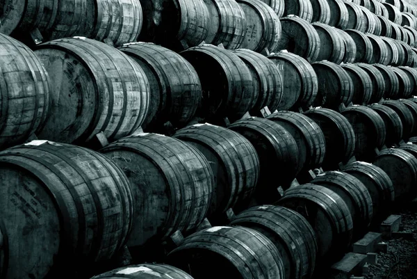 Barris de vinho na adega velha — Fotografia de Stock