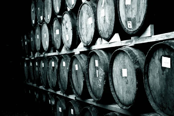 Barricas de vino en bodega antigua — Foto de Stock