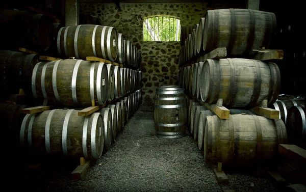 Barris de vinho na adega velha — Fotografia de Stock