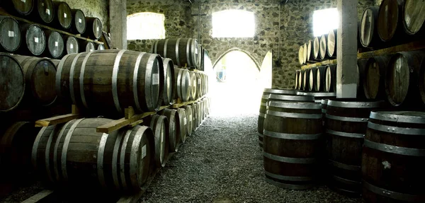 Barricas de vino en bodega antigua —  Fotos de Stock