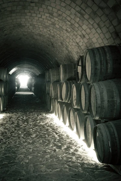 Wijn vaten in oude kelder — Stockfoto