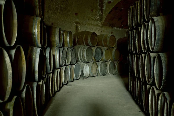 Barricas de vino en bodega antigua —  Fotos de Stock