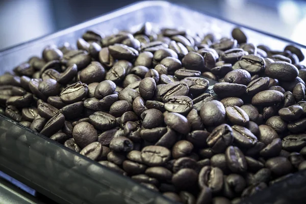 Proces przygotowania kawy — Zdjęcie stockowe