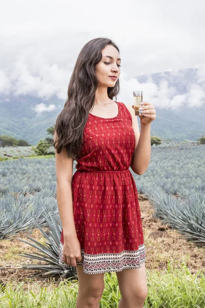 墨西哥女子龙舌兰酒在龙舌兰的景观中拍摄 — 图库照片