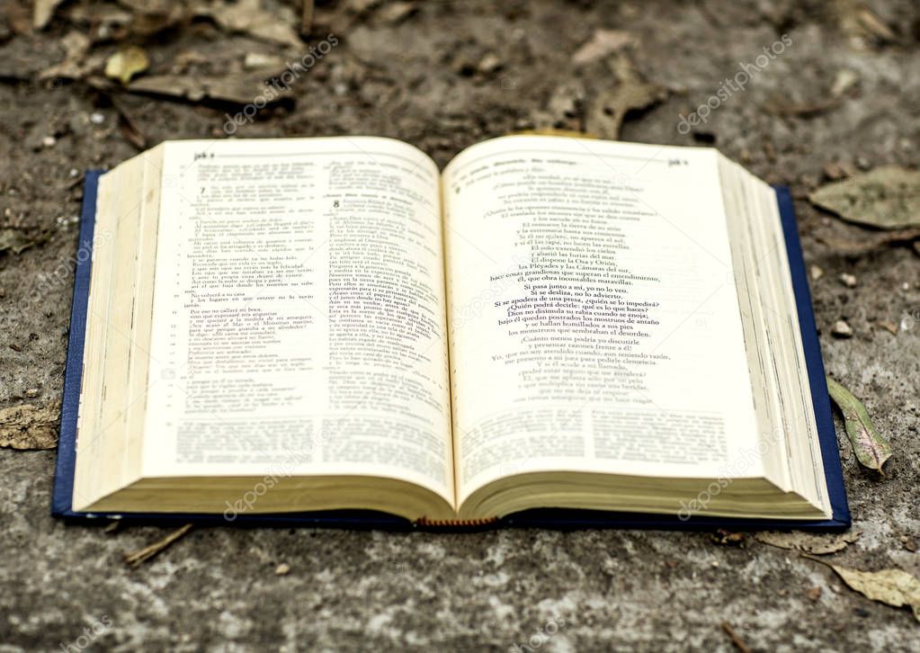 Dibujo de biblias abiertas | Santa Biblia Abierta — Foto de stock