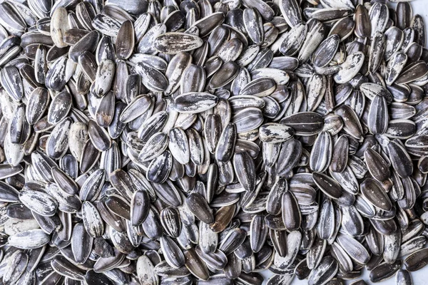 Close up texture of sunflower seeds — Stock Photo, Image