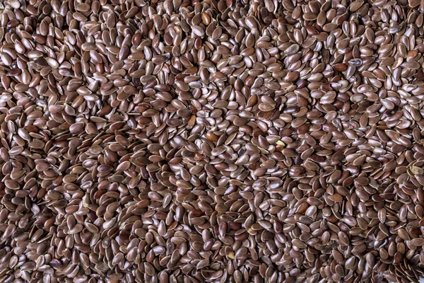 Close up of linseed seed textur — Stock Photo, Image